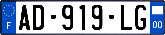 AD-919-LG