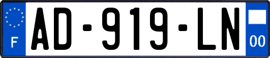 AD-919-LN