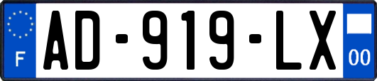 AD-919-LX