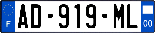 AD-919-ML