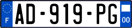 AD-919-PG