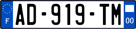 AD-919-TM