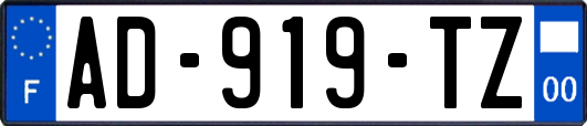 AD-919-TZ