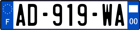 AD-919-WA