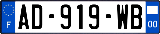 AD-919-WB
