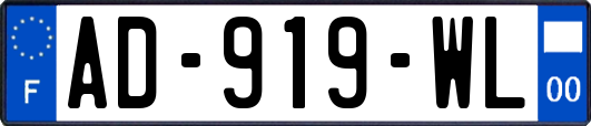 AD-919-WL