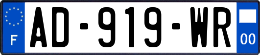 AD-919-WR