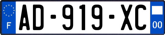 AD-919-XC