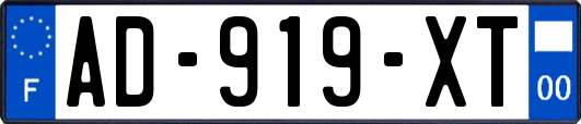 AD-919-XT