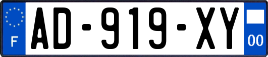 AD-919-XY