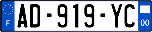 AD-919-YC