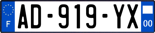 AD-919-YX