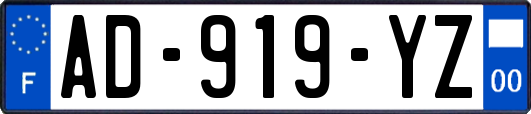 AD-919-YZ