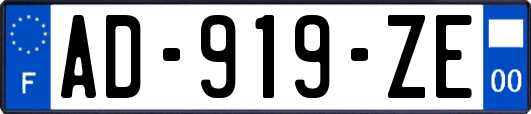 AD-919-ZE