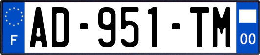 AD-951-TM