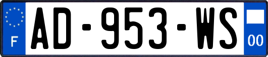 AD-953-WS