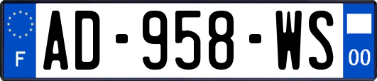 AD-958-WS