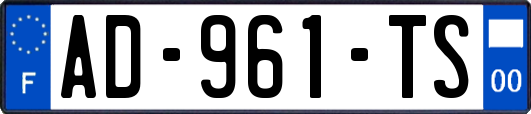 AD-961-TS