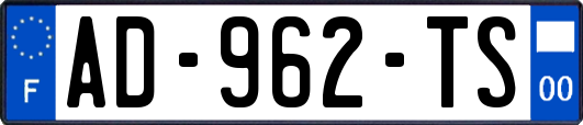 AD-962-TS