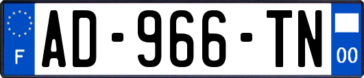 AD-966-TN