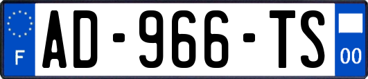 AD-966-TS