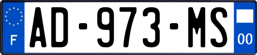 AD-973-MS