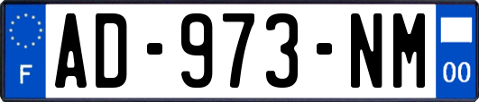 AD-973-NM