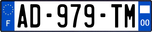 AD-979-TM