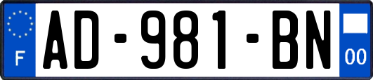 AD-981-BN
