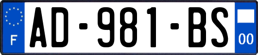 AD-981-BS