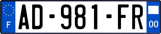 AD-981-FR