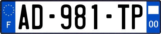 AD-981-TP