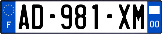 AD-981-XM