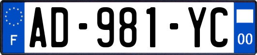 AD-981-YC