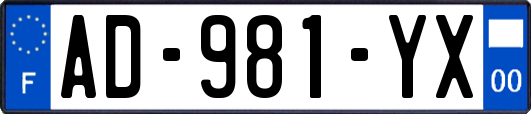 AD-981-YX