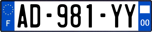 AD-981-YY