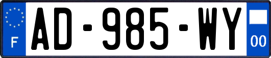 AD-985-WY
