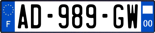 AD-989-GW
