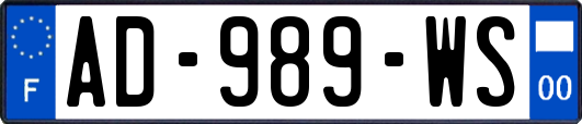 AD-989-WS