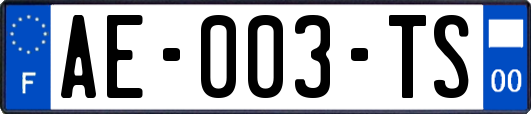 AE-003-TS