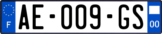 AE-009-GS