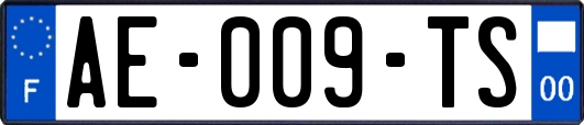 AE-009-TS