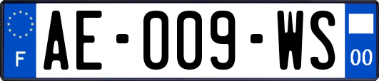 AE-009-WS