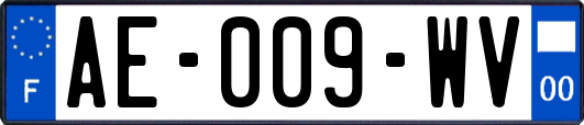 AE-009-WV