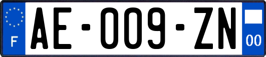 AE-009-ZN