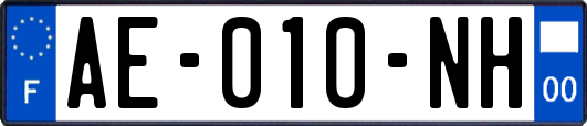 AE-010-NH