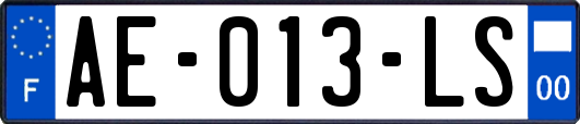 AE-013-LS