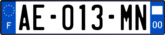 AE-013-MN