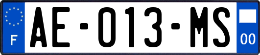AE-013-MS