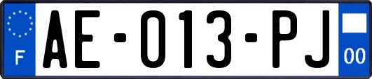 AE-013-PJ